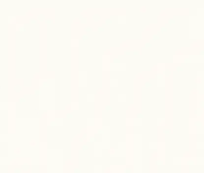 wordpresssupport webographic designweb